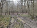 Forêt de Beaumont, tourner à droite